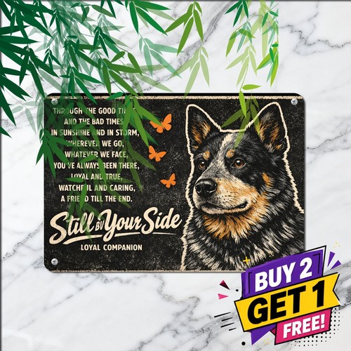 Australian cattle dog - australian,