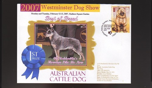 2007 dog show - show, of