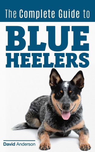 Blue heeler the - heeler:,